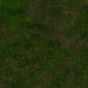 Main Texture for Grass Dark