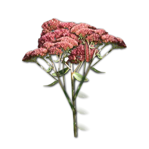 English Garden Flowers texture preview