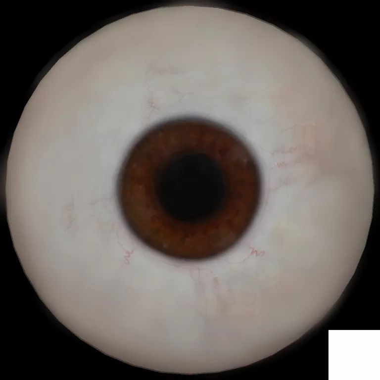 Brown Eye main texture preview