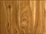 S S Wood Wood1 main texture preview