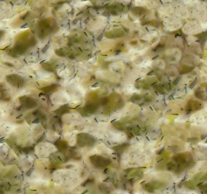 Slaw main texture preview