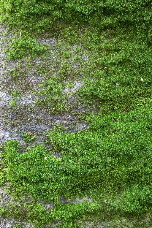 Img 0177 main texture preview