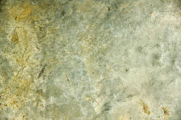 107 main texture preview
