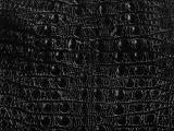 S S D10 Crocodile Skin main texture preview