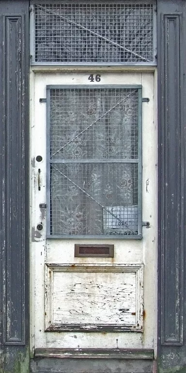 Door White Mesh main texture preview