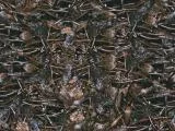 S S Metal03L main texture preview