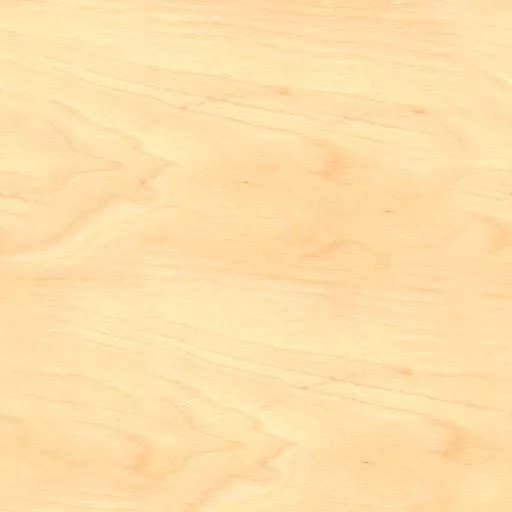 011Bouleau main texture preview