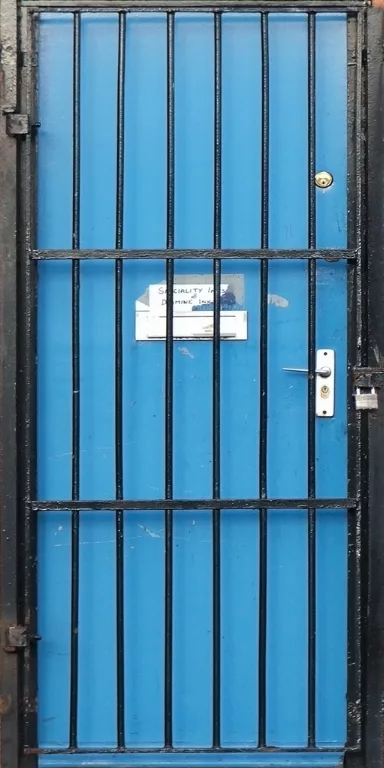 Door Steel Secure Bars2 main texture preview