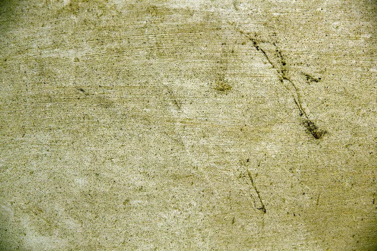 54 main texture preview