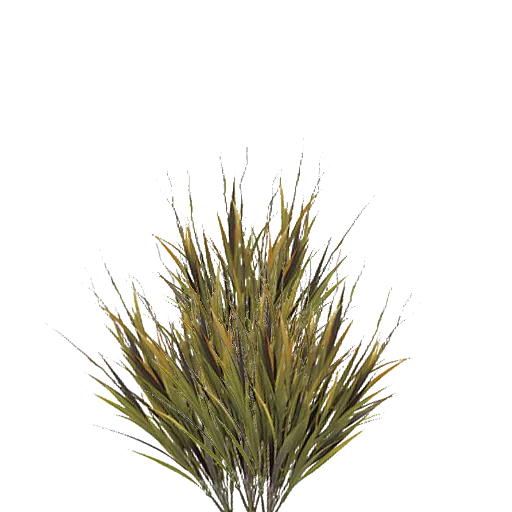3Td Swordgrass 01 Cc0 main texture preview