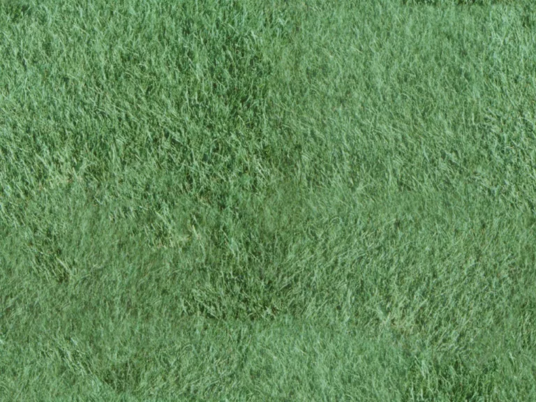 Tex 015 main texture preview