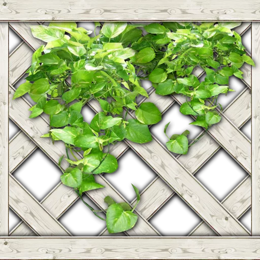Cottage Lattice3 main texture preview