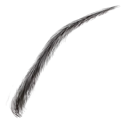 Eyebrow002 main texture preview