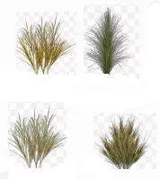 Grass Textures Cc0 main texture preview