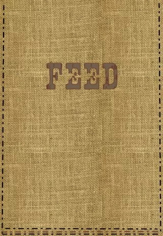 Red Barn Feed Bag main texture preview