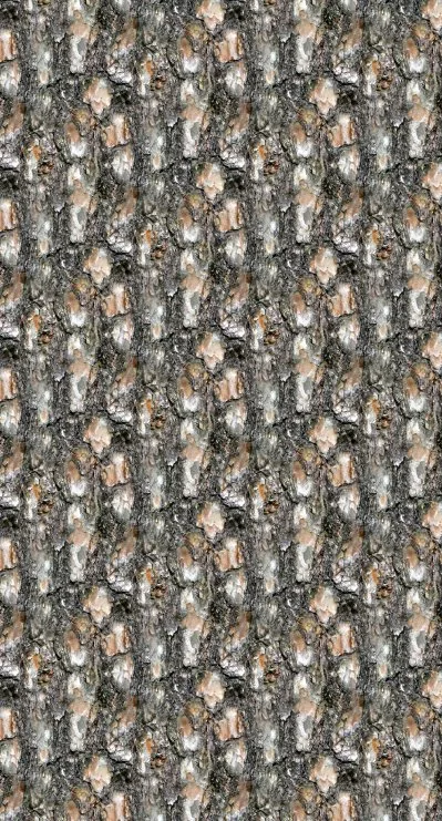 Barkx4 main texture preview