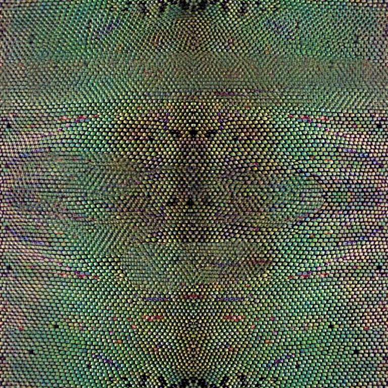Main Texture for Reptile Seamless