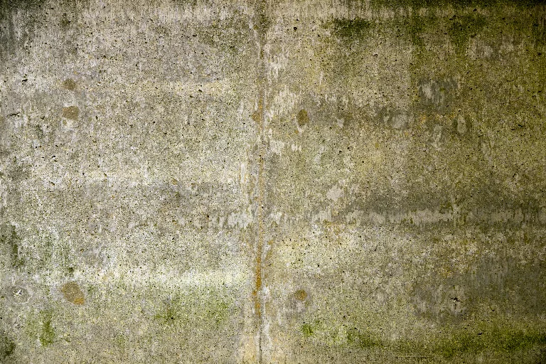 81 main texture preview