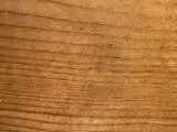 S S Pine1 main texture preview