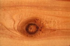 Wood3 main texture preview