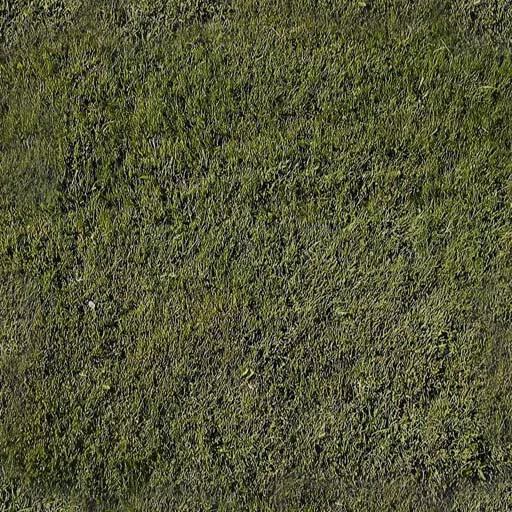 Nature069 main texture preview