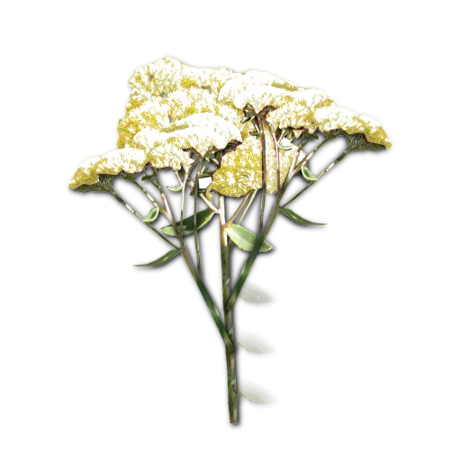 English Garden Flowers Yellow texture preview