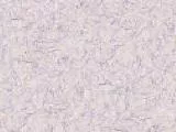 S S Paper13L main texture preview