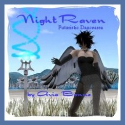 NightRaven free OpenSimulator OAR region preview